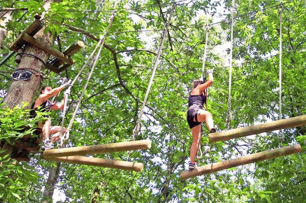 Accrobranche et parc d'attraction